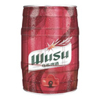  乌苏啤酒 夺命红乌苏 新疆熟啤酒酒花浓郁日期新鲜 畅享大桶 5L WUSU 畅享大桶5L