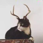 若镜