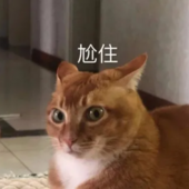 十二楼