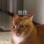 十二楼