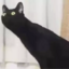 跟着我