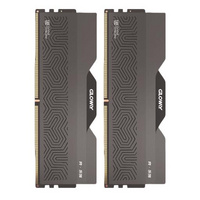 光威： 龙武-弈 DDR5 黑色