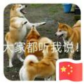 苹果和面包