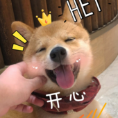未知1参上