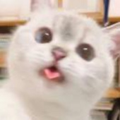 叶