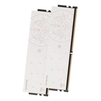 七彩虹： 白羊座 DDR5 白色