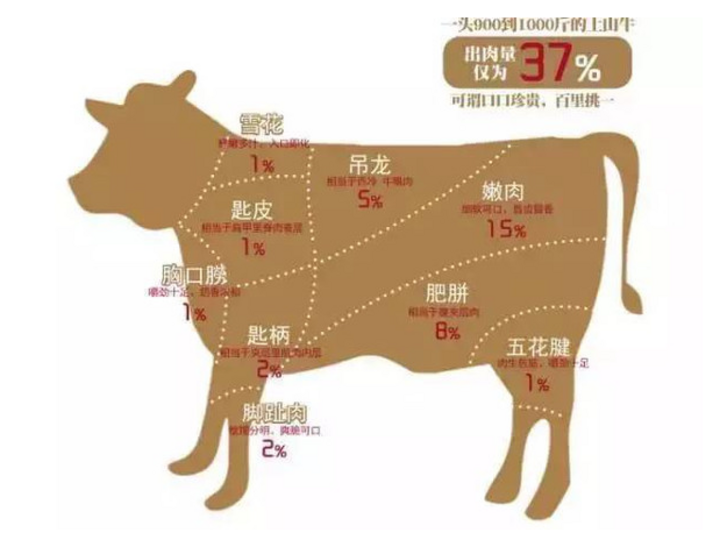 我在北方三线城市找到一家正宗潮汕牛肉火锅 吃播秀 很赞