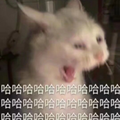 132****0568