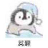 去码头整点二重积分