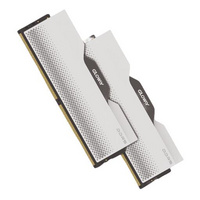 光威： 龙武 DDR5 银色