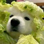 烫儿