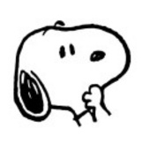 韦恩