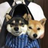 你为什么不学习