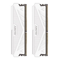 光威： 天策 DDR5 皓月白