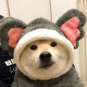 星河