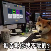 守望先锋狗都不玩