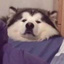 ㅤ