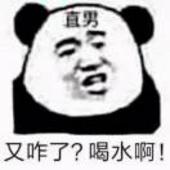 陈黩珛