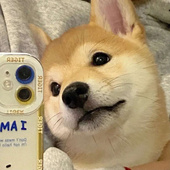 可乐真好喝