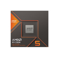 AMD 锐龙5 8600G