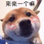 小杨