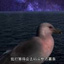 整点薯条