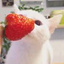 橘猫