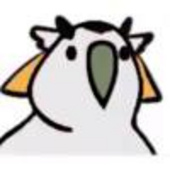 w贰拾壹w