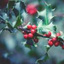 冬青.Ilex