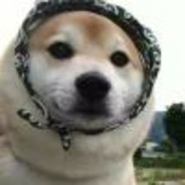 千冰东方