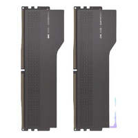 光威： 龙武RGB DDR5 黑色台式机内存条 2条套装