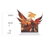 MECHREVO/机械革命 翼龙 15 Pro 游戏本