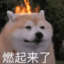 燃起来了