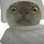 鼠鼠